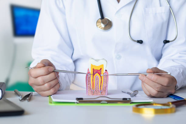 Best Emergency Dental Care for Abscessed Tooth in Harrison, NY